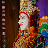 Daily Darshan